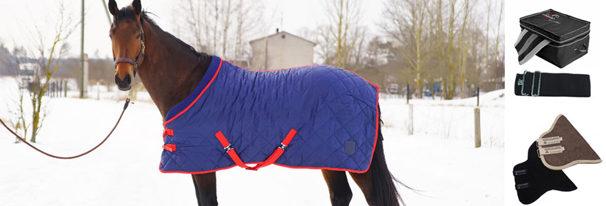 accessoires pour chevaux